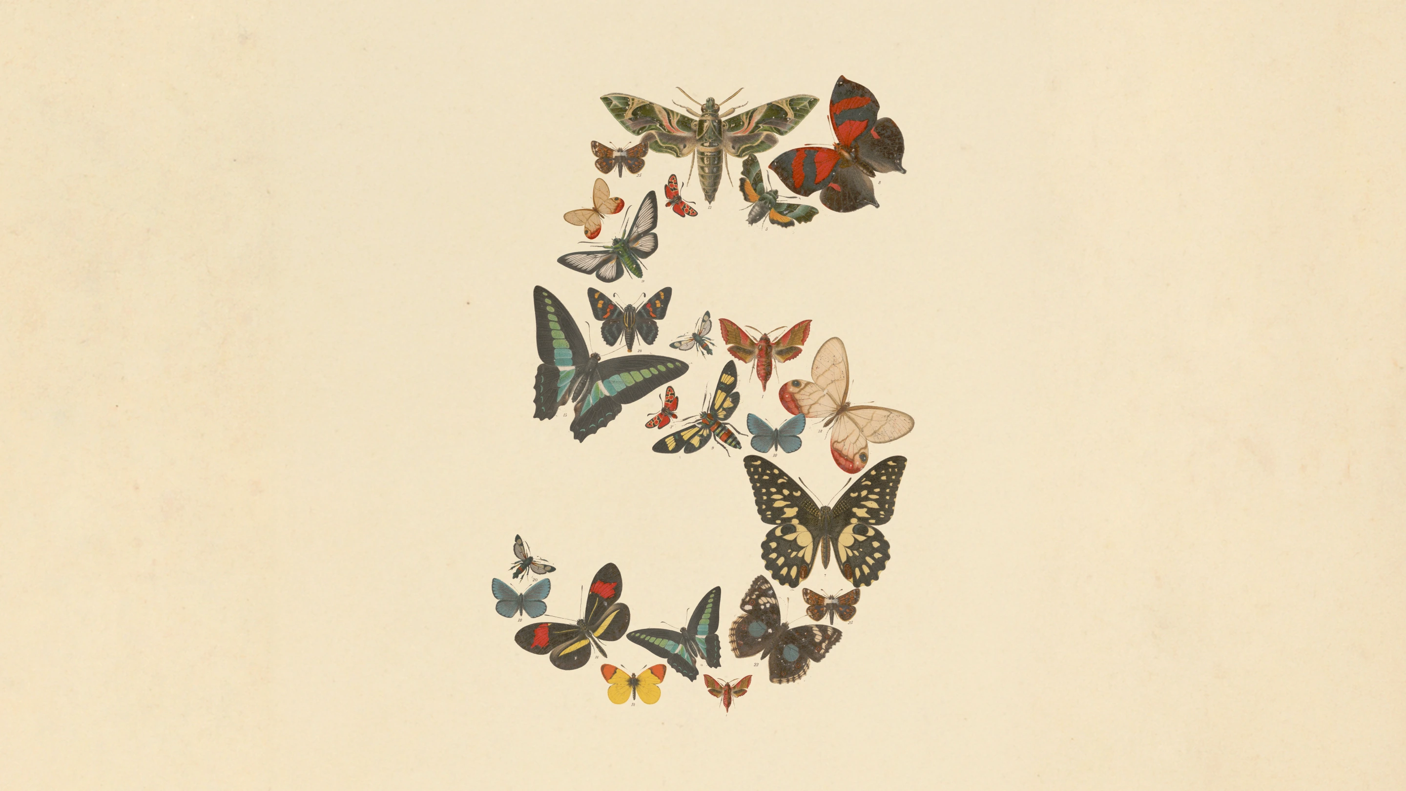 Anthropic launch artwork showing the number five composed of butterflies for Claude Fable 5 and Claude Mythos 5